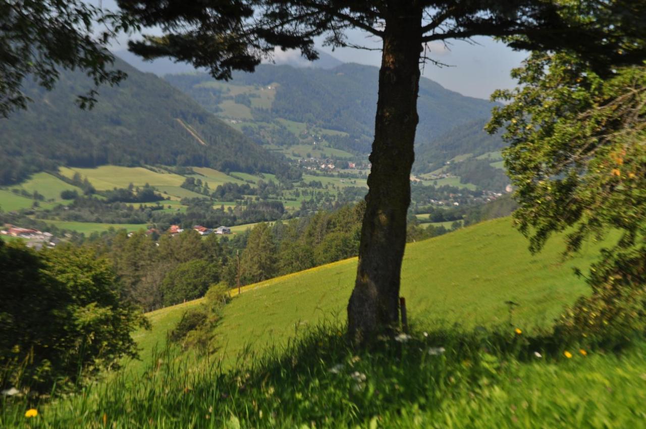 Bed and Breakfast Fruhstuckspension Bischof I D Wiesen Sankt Peter am Kammersberg Zewnętrze zdjęcie