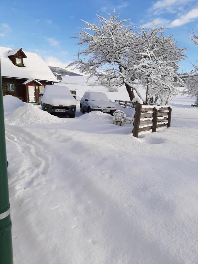 Bed and Breakfast Fruhstuckspension Bischof I D Wiesen Sankt Peter am Kammersberg Zewnętrze zdjęcie